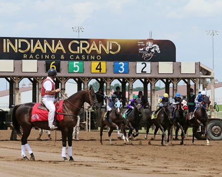 Horses leave the gate at Indiana Grand