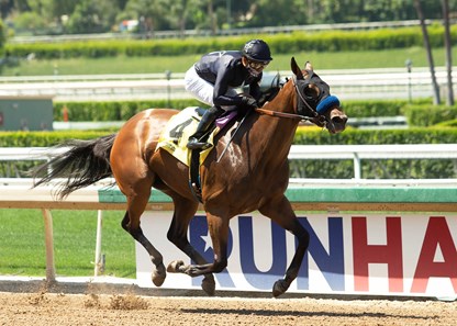 Crystal Ball - Horse Profile - BloodHorse