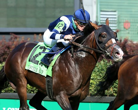 Contentious Tropical Turf After Analyze It Setback - Vimarsana News