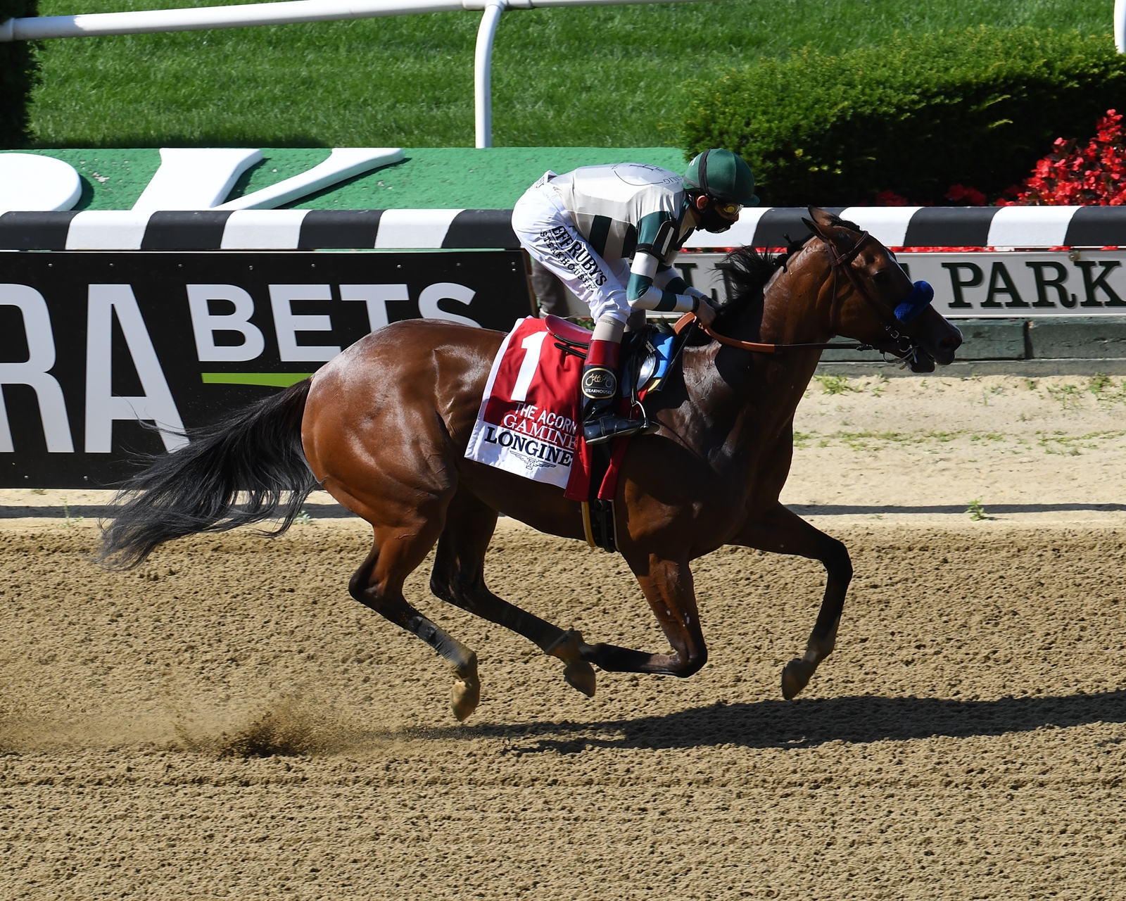 Gamine Ready for a Grade 1 Test at Saratoga BloodHorse