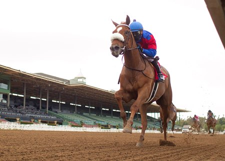 Swiss Skydiver wins the Santa Anita Oaks at Santa Anita Park