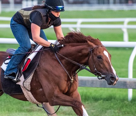 Code of Honor breezes July 27 on the Oklahoma Training Track at Saratoga Race Course