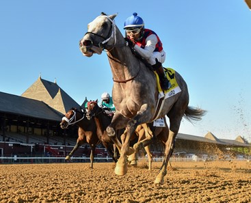 Volatile Stallion Volatile - Horse Profile - BloodHorse