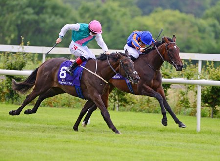 Nicest Second Juvenile Winner Out Of Chicquita Bloodhorse