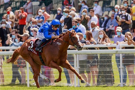Earthlight (IRE) Horse Profile BloodHorse