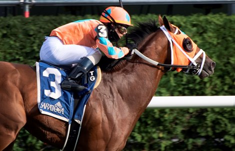 Somelikeithotbrown Proves The Best In Bernard Baruch Bloodhorse