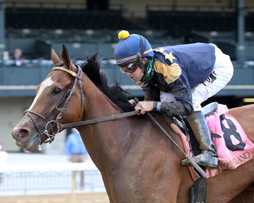 Looking At Liberty Horse Profile Bloodhorse