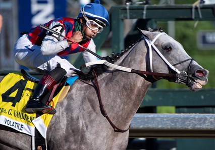 Volatile Stallion Volatile - Horse Profile - BloodHorse