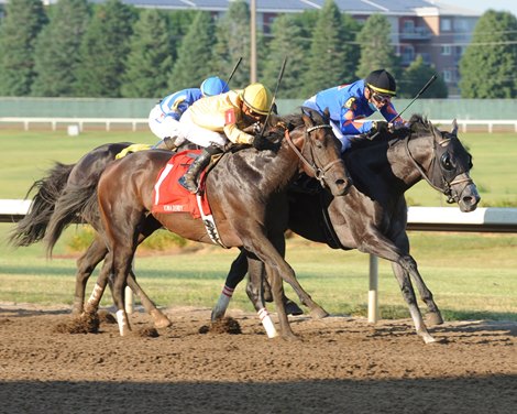 2022 Horse Racing Schedule Prairie Meadows Announces Live Racing Dates For 2022 - Bloodhorse