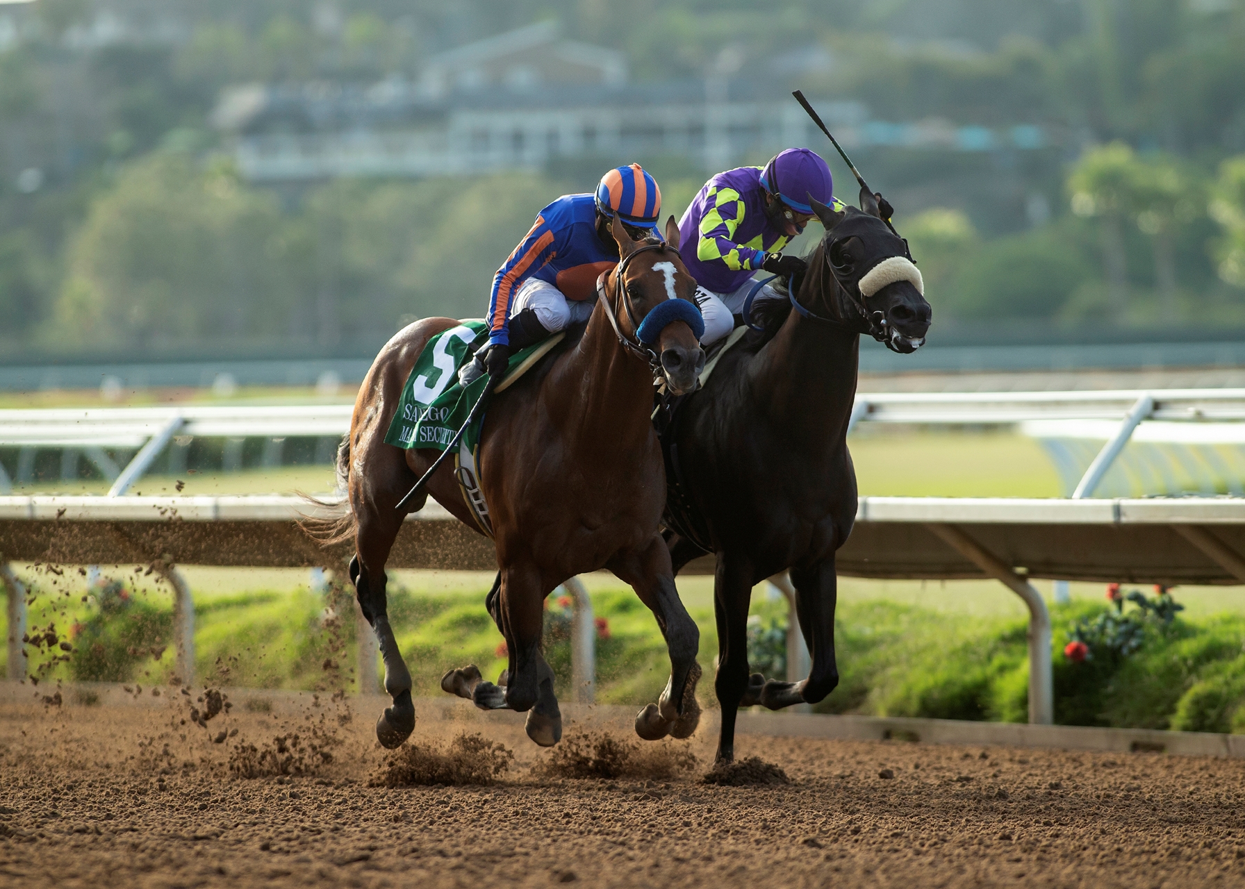 sky racing live stream online free