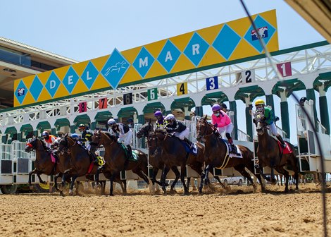 ABR’s 2024 Del Mar Betting Guide: Trends, Statistics