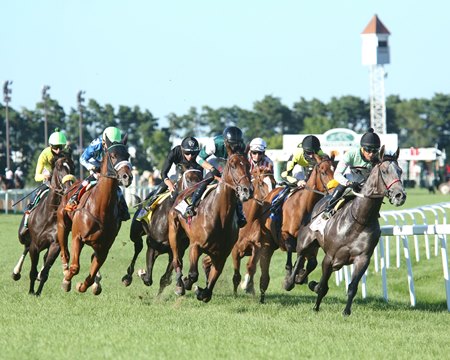 The field races around a turn in the 2020 Mystic Lake Derby at Canterbury Park