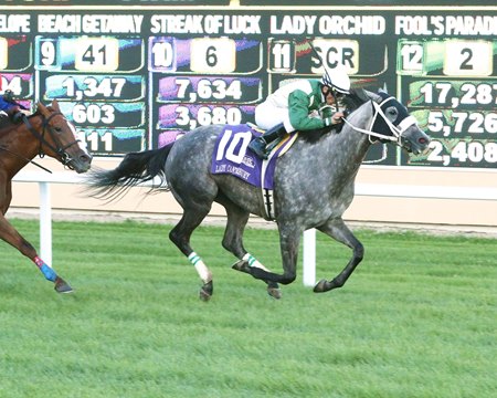 Streak of Luck, the dam of two-time grade 1 winner Ted Noffey, wins the 2020 Lady Canterbury Stakes at Canterbury Park