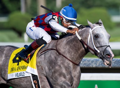 Volatile Stallion Volatile - Horse Profile - BloodHorse