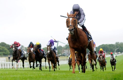 Serpentine Pulls Off 25 1 Epsom Derby Upset Bloodhorse