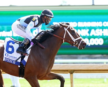 Speech - Horse Profile - BloodHorse