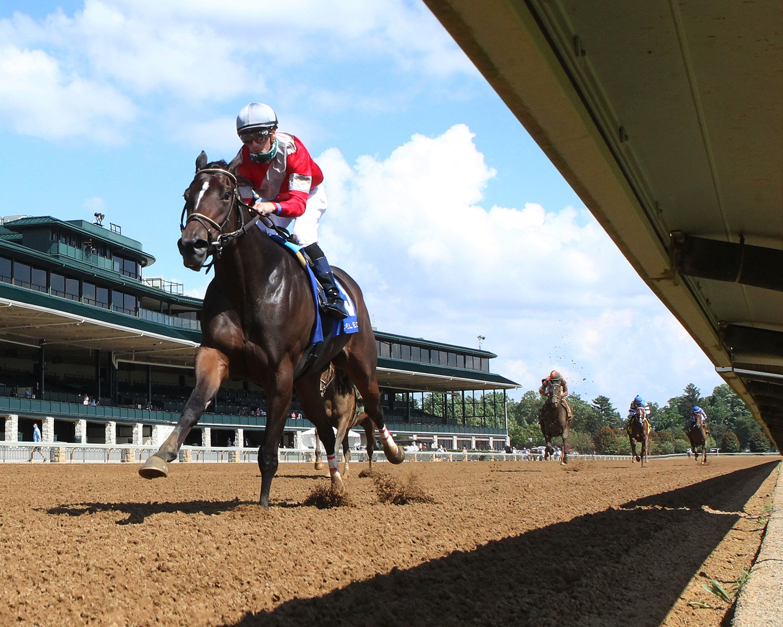 Four Graces Breaks Two Records in Beaumont Win BloodHorse