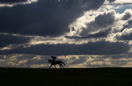 A horse heads to post at the Curragh