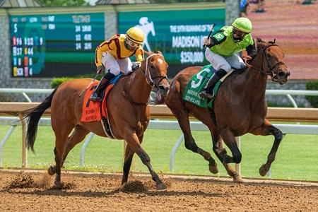 Guarana Outduels Mia Mischief to Capture Madison - BloodHorse