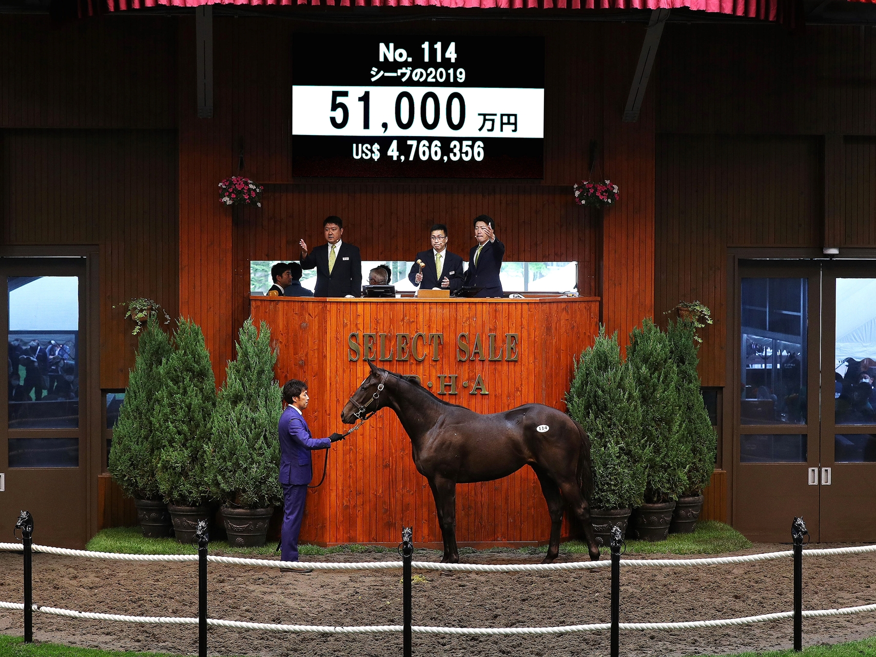 Deep Impact Colt Sets New JRHA Select Sale Record - BloodHorse