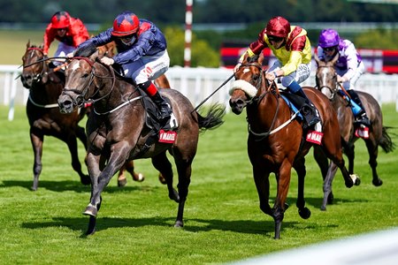 Steel Bull wins the Molecomb Stakes at Goodwood