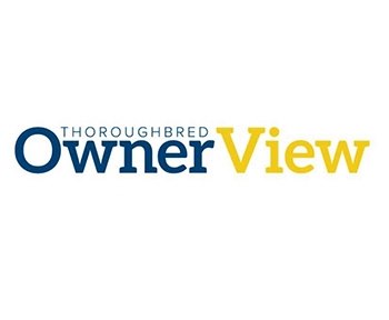 Insights From the OwnerView Webinar Panel