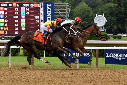 Country Grammer - Horse Profile - BloodHorse