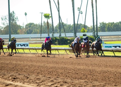 Chrb Reverses Decision Gives Los Alamitos Full License Bloodhorse Chrb Reverses Decision Gives Los Alamitos Full License Bloodhorse