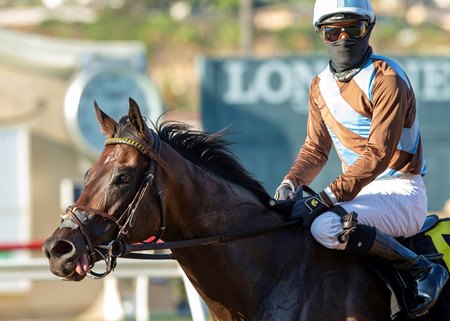 Jo Jo Air, one of the Senator Ken Maddy Stakes favorites, after winning Daisycutter Handicap this summer at Del Mar
