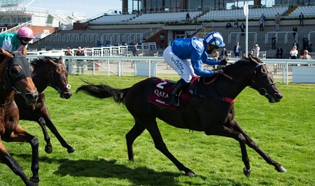 Mohaather gets up to take the Sussex Stakes at Goodwood