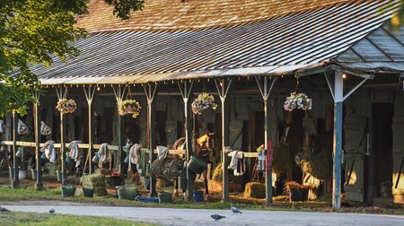 The barn area at Saratoga Race Course