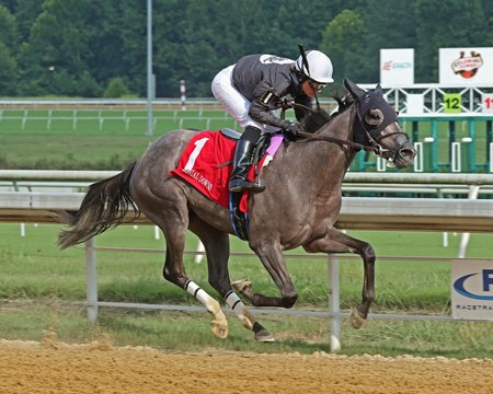Cool Enough breaks her maiden at Colonial Downs