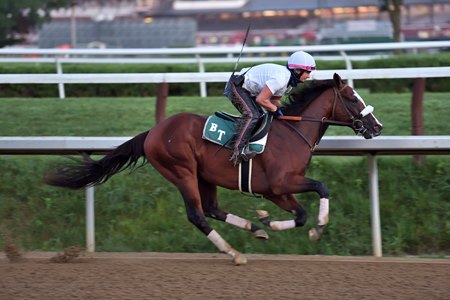 Tiz the Law works Aug. 1 at Saratoga Race Course