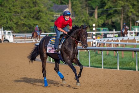 Uncle Chuck gallops Aug. 6 at Saratoga Race Course