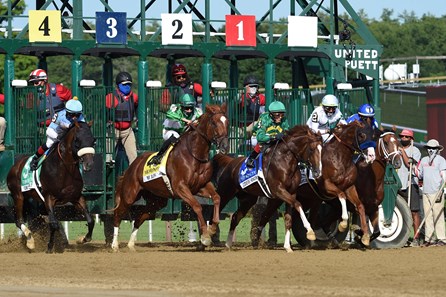Improbable Horse Profile Bloodhorse