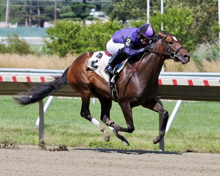 Miss Wild scores a 15-length win on debut at Monmouth Park