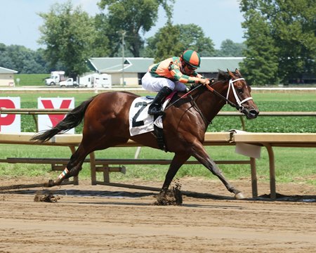 Perfect Happiness Tops Keeneland October Digital Sale Bloodhorse