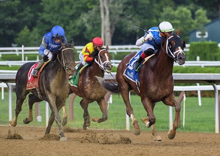 Spinoff leads Endorsed (outside) and Bodexpress to the wire in the Alydar Stakes at Saratoga Race Course