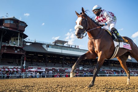 Tiz the Law wins the Travers Stakes at Saratoga Race Course