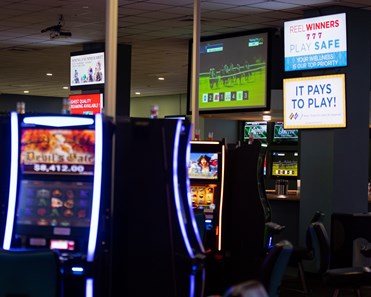 Gaming - Horse Profile - BloodHorse