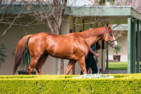 Justify Heightens European Interest in Keeneland Sept.