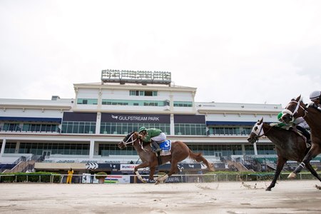 gulfstream park works toward return of fans bloodhorse