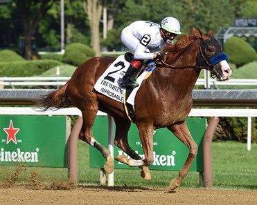 Improbable Horse Profile Bloodhorse