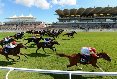 Full Capacity Crowds To Return To British Racecourses Bloodhorse