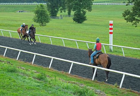 Destin Heath (on pony) oversees training in Aug. 2020 at WinStar Training Center 