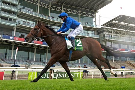 NEW HEIGHTS: Godolphin's Ghaiyyath adds the title of Longines World's Best Racehorse to his already impressive resume of group 1 victories which include his triumph in in the 2020 Juddmonte International Stakes at York