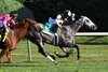 Halladay #6 with jockey Luis Saez in the saddle goes wire to wire to win the 36th running of The Fourstardave  Saturday Aug.22, 2020 at the Saratoga Race Course in Saratoga Springs, N.Y. Photo by Skip Dickstein