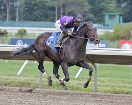 Heir Port breaks his maiden on debut at Monmouth Park