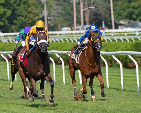 American Sailor (inside) was declared the winner of the Troy Stakes after Imprimis (outside) was disqualified at Saratoga Race Course