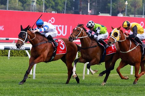 Waller And Waikato Combine For Ocean Park Quinella Bloodhorse